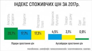 13942 Які товари і послуги найбільше і найменше подорожчали в 2017 році (інфографіка)