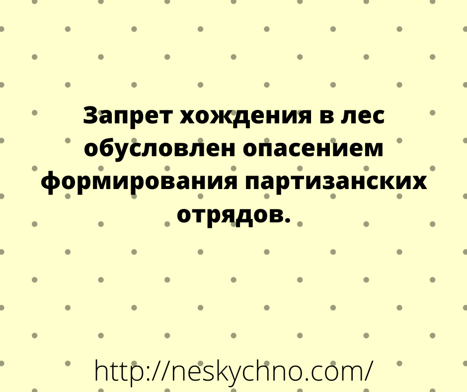 Найкраща підбірка 2020 року чадних жартів та анекдотів в картинках