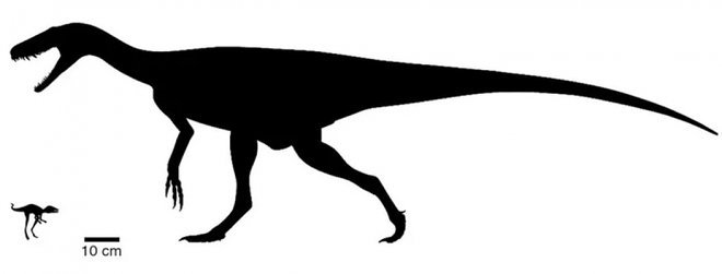 На Мадагаскарі знайдені останки карликового динозавра висотою 10 см