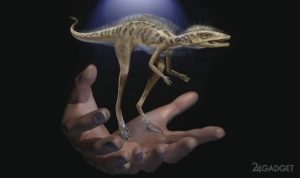 38339 На Мадагаскарі знайдені останки карликового динозавра висотою 10 см