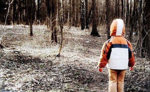В лесу спасатели обнаружили потерявшегося мальчика, ребенок уверяет, что ему помог выжить медведь