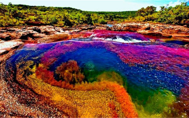 44539 Удивительная планета: многоцветная река Каньо-Кристалес