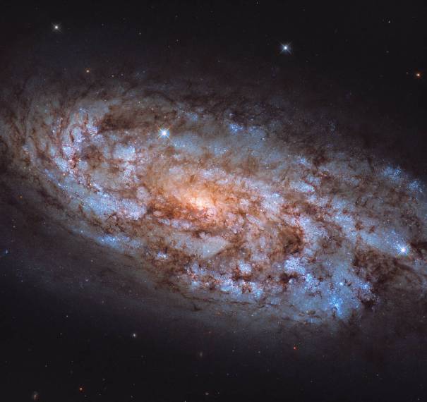 51336 Хаббл зафиксировал галактику со вспышкой звездообразования