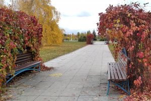 56045 Парк Тысячелетия в Казани: уютное место отдыха