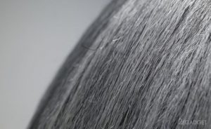 55908 Учёные нашли способ борьбы с седыми волосами (2 фото + видео)