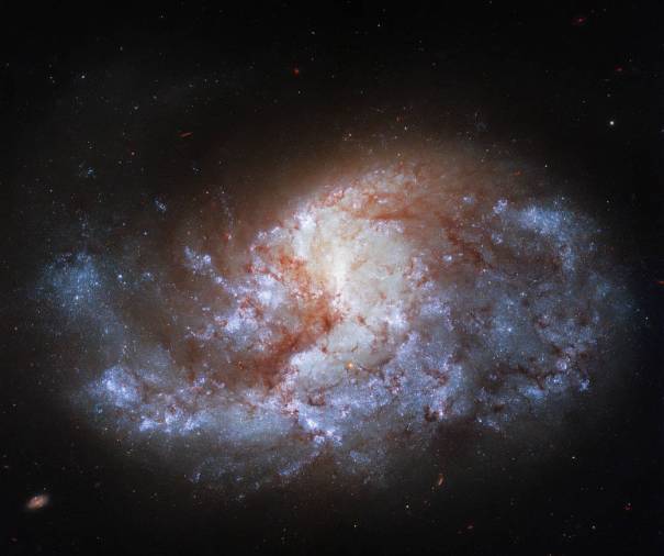 57139 Хаббл глубоко рассматривает галактику в Печи