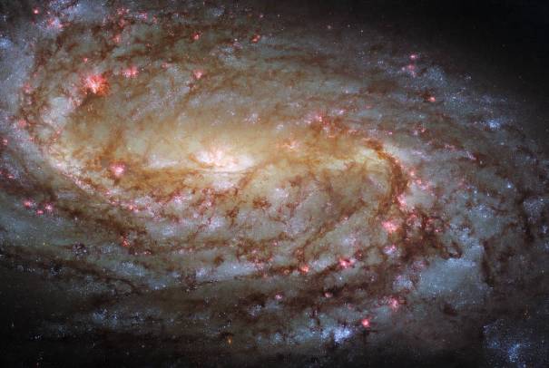 58687 Хаббл детальнее изучил спиральную галактику NGC 2903