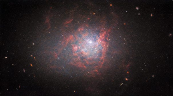 Карликовая галактика NGC 1705