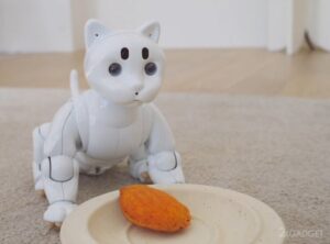 61294 Любопытный робот-кошка с искусственным интеллектом, способный читать человеческие эмоции