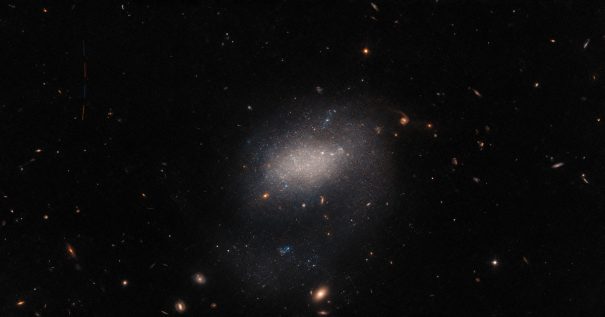 61891 Хаббл зафіксував маленьку сусідню та багато далеких галактик